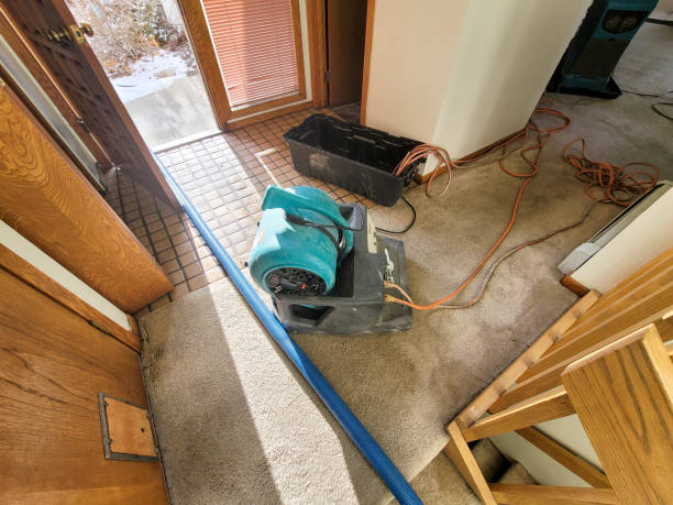Best Water damage repair service  in West Covina, CA
