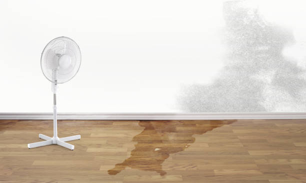 Best Local water damage restoration  in West Covina, CA
