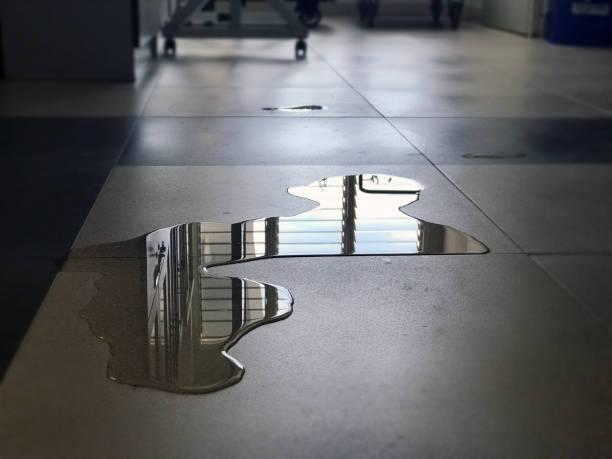 Best Water damage restoration specialists  in West Covina, CA