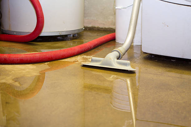 Best 24-hour water damage restoration  in West Covina, CA