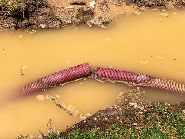  West Covina, CA Water damage restoration Pros